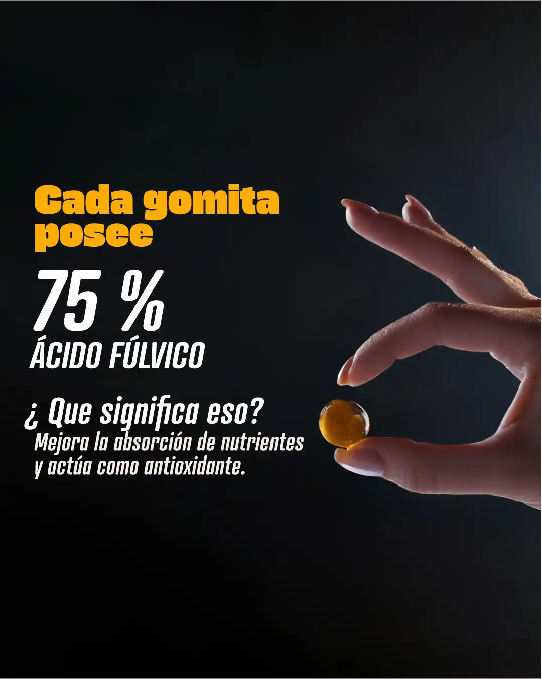 Shilajit en Gomitas