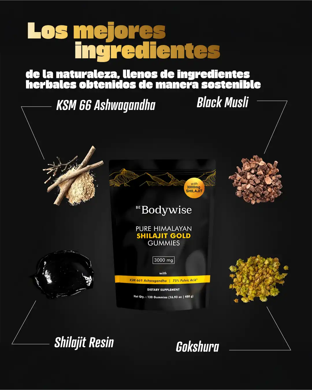 Shilajit en Gomitas